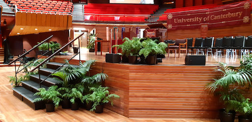 Town Hall Stage - Palms and Ferns